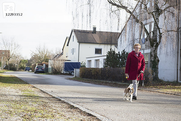Alte Frau geht mit Hund auf der Straße spazieren