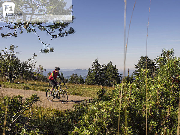 Mann mit Rennrad auf Radtour im Schwarzwald  Deutschland