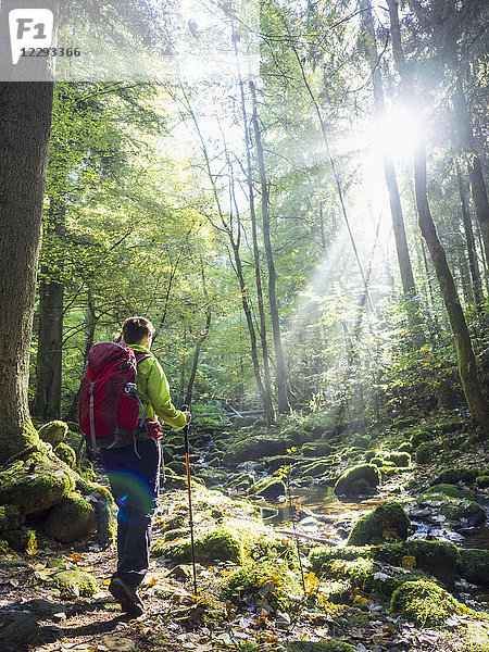 Frau auf Wandertour im Nordschwarzwald  Monbachtal  Bad Liebenzell  Baden-Württemberg  Deutschland