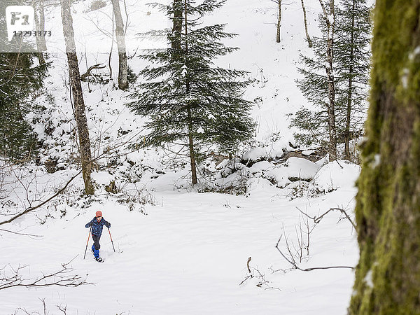 Mädchen beim Schneeschuhwandern im Schwarzwald  Deutschland  Europa