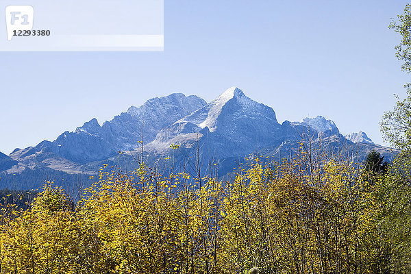 Blick auf Wald und schneebedeckten Berg in den bayerischen Alpen  Alpspitz  Wettersteingebirge