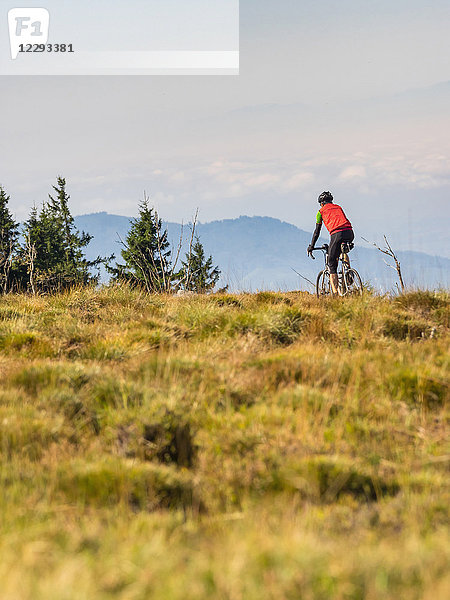 Mann mit Rennrad auf Radtour im Nordschwarzwald  Deutschland
