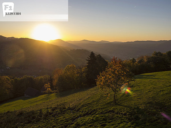 Blick auf den Berg bei Sonnenuntergang  Ferme Auberge Soultzermatt  Munster  Vogesen  Frankreich