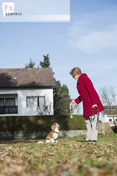 Alte Frau und Hund spielen mit Spielzeug im Park