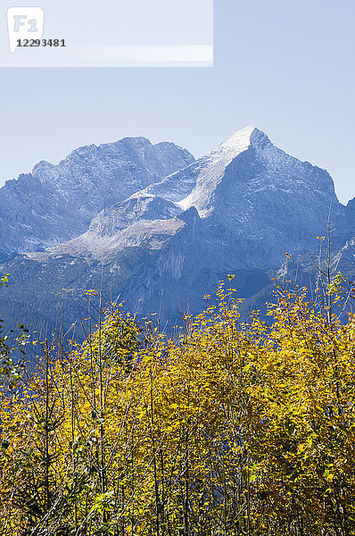 Blick auf Wald und schneebedeckten Berg in den bayerischen Alpen  Alpspitz  Wettersteingebirge