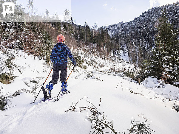Rückansicht eines Mädchens beim Skilaufen im verschneiten Schwarzwald  Deutschland  Europa