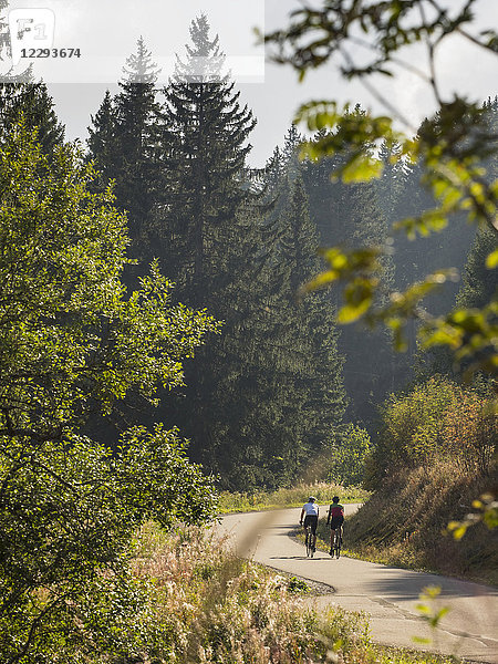 Zwei Männer fahren Rennrad auf einer Radtour im Schwarzwald  Baden-Württemberg  Deutschland