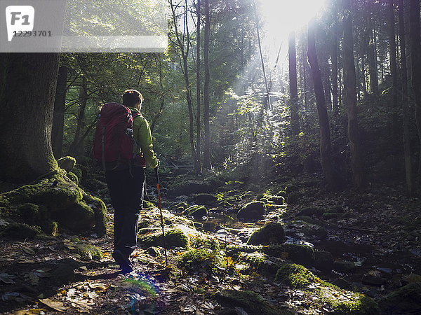 Frau auf Wandertour im Nordschwarzwald  Monbachtal  Bad Liebenzell  Baden-Württemberg  Deutschland