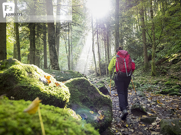 Frau auf Wandertour im Nordschwarzwald  Monbachtal  Bad Liebenzell  Baden-Württemberg  Deutschland