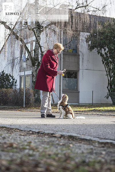 Alte Frau und Hund stehen auf der Straße mit Spielzeug