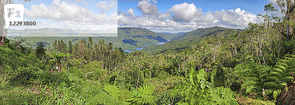 Naturschutzgebiet Topes de Collantes  Trinidad  Kuba