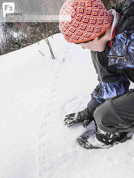 Mädchen berührt die Tierspuren auf Schnee im Schwarzwald  Deutschland  Europa