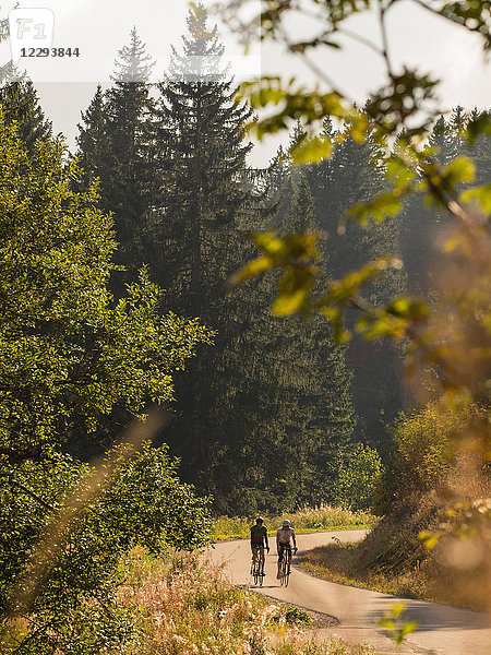 Zwei Männer fahren Rennrad auf einer Radtour im Schwarzwald  Baden-Württemberg  Deutschland