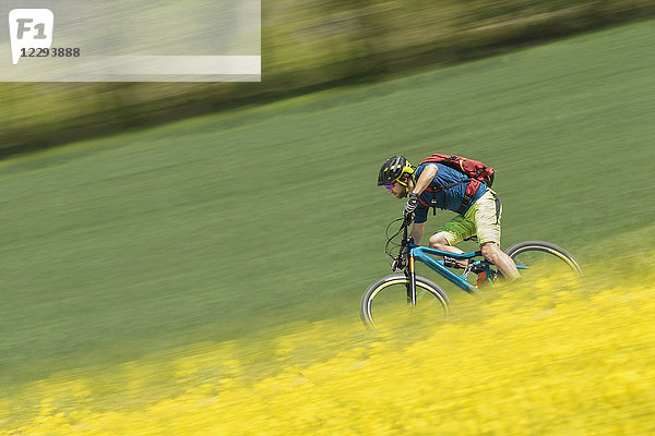 Mountainbiker fährt mit Tempo in Rapsfeld