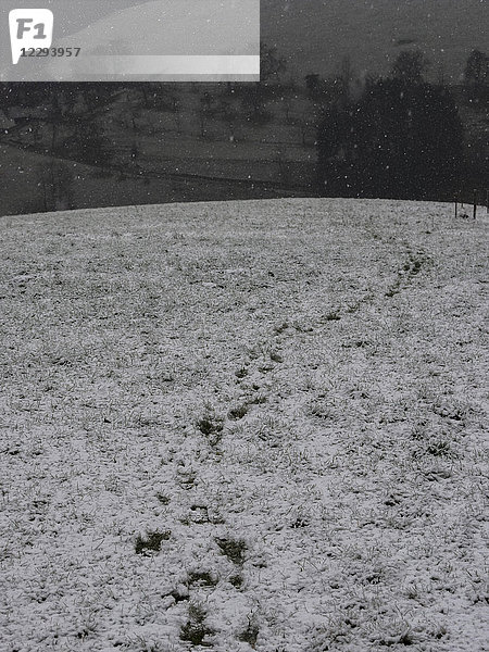 Silhouette eines Bauernhauses auf einem schneebedeckten Feld  Mittlerer Schwarzwald  Elzach-Yach  Baden-Württemberg  Deutschland.