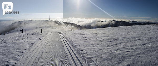 Seebuck-Gipfel mit Feldbergturm und zwei Wanderern  Schwarzwald  Deutschland