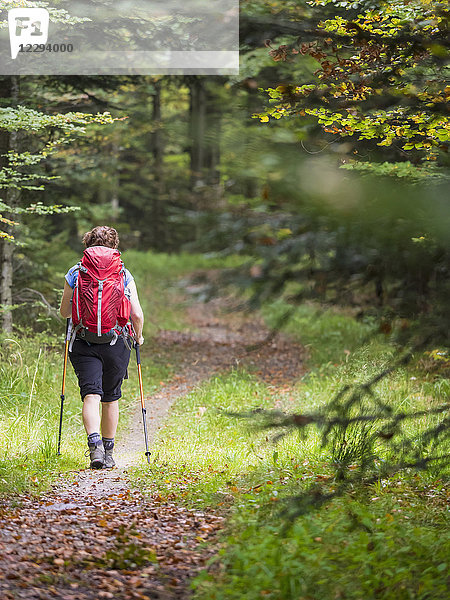 Frau auf Wandertour im Nordschwarzwald  Bad Wildbad  Baden-Württemberg  Deutschland