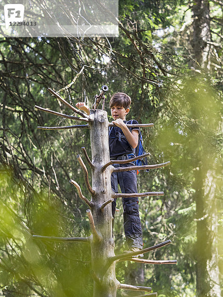 Mädchen klettert auf einen Baum und schaut durch ein Fernrohr im Schwarzwald  Feldberg  Baden-Württemberg  Deutschland
