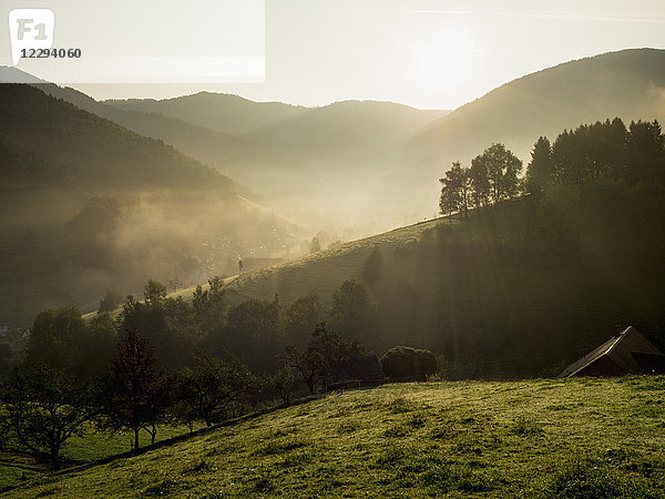 Blick auf Berge  Bäume und Wiesen im Schwarzwald  Yach  Elzach  Baden-Württemberg  Deutschland