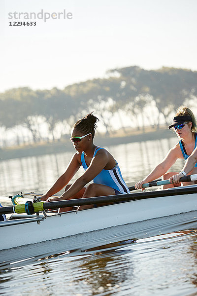 Weibliches Ruderteam Ruderschädel auf sonnigem See