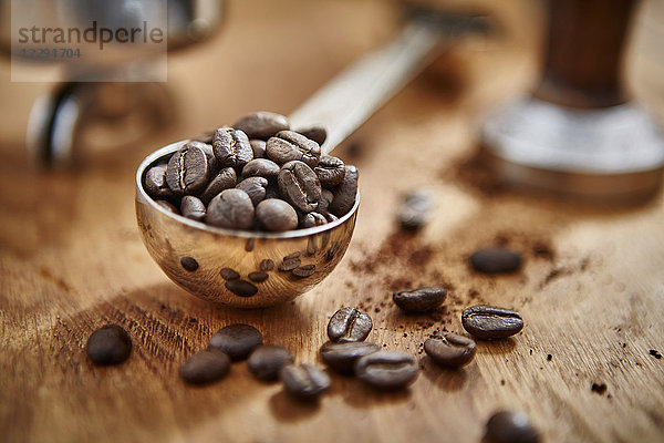 Nahaufnahme gerösteter Kaffeebohnen im Messbecherlöffel