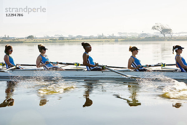 Weibliches Ruderteam Ruderschädel auf sonnigem See