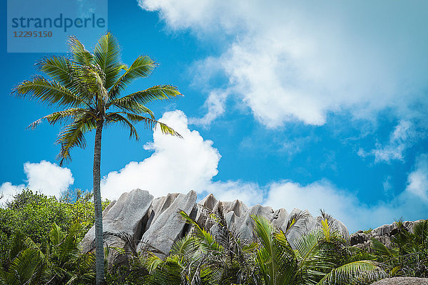 Tiefblick auf Felsen inmitten von Bäumen gegen den Himmel  Insel Grande Soeur  Seychellen