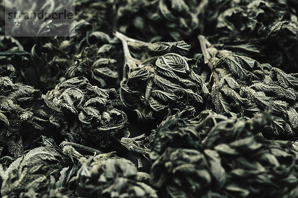 Vollbild-Aufnahme von getrockneten Marihuana-Blättern