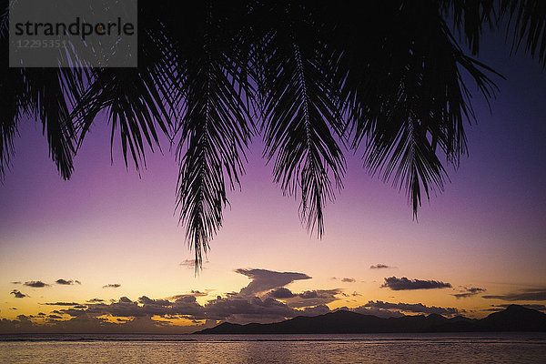 Blick auf das Meer gegen den Himmel bei Sonnenuntergang  Insel La Digue  Seychellen