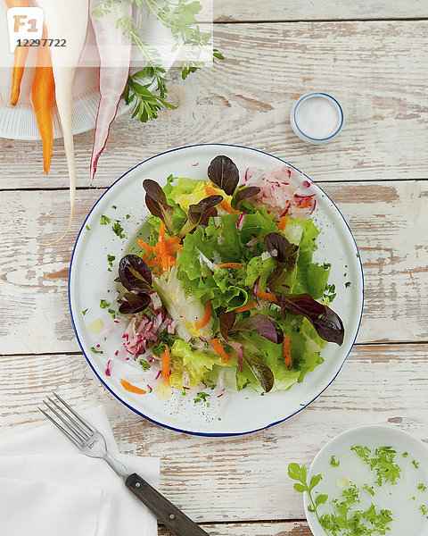 Ein gemischter Blattsalat mit Radieschen und Karotten