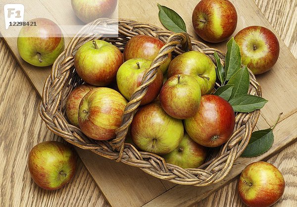 Frische Cox-Äpfel mit Blättern in einem Korb