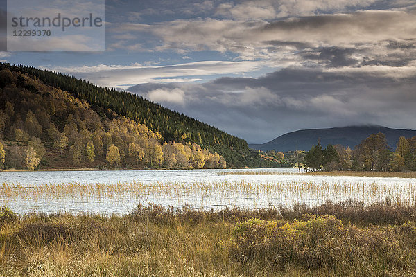 Tranquil  idyllic landscape with autumn hills and lake  Loch Pityoulish  Aviemore  Scotland