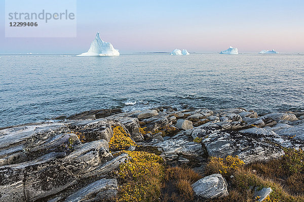 Icebergs in tranquil ocean  Disko Island  Greenland