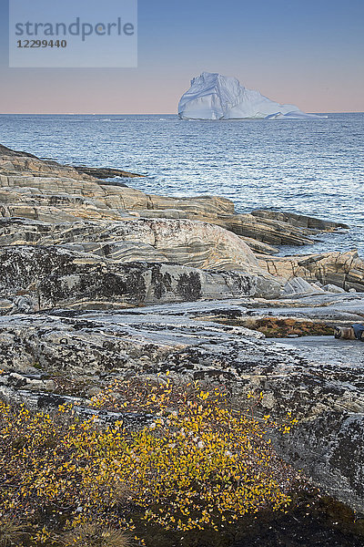 Craggy rocks and ocean with iceberg  Disko Island  Greenland