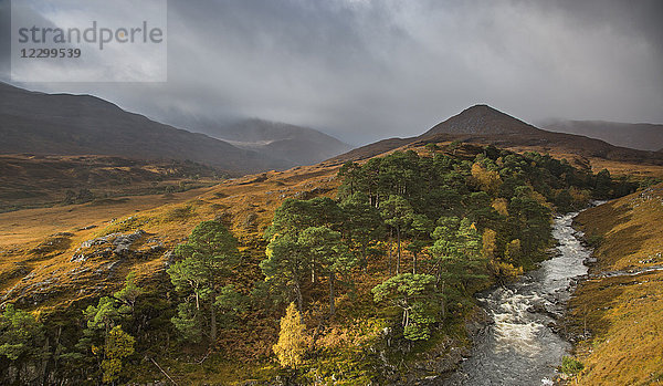 Tranquil glen landscape and river  Glen Strathfarrar  Scotland