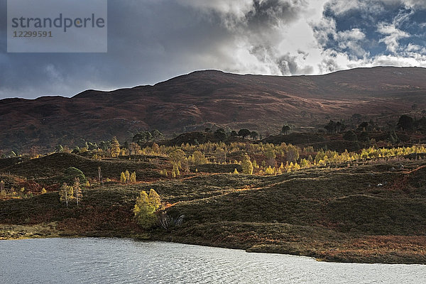 Tranquil autumn landscape  Glen Cannich  Scotland