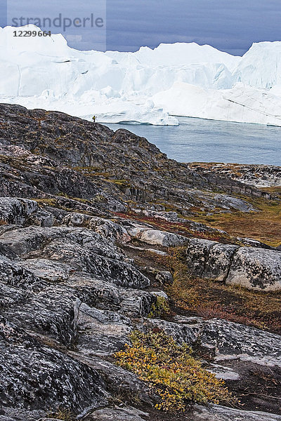 Icebergs beyond craggy rocks  Icefjord  Ilulissat  Greenland