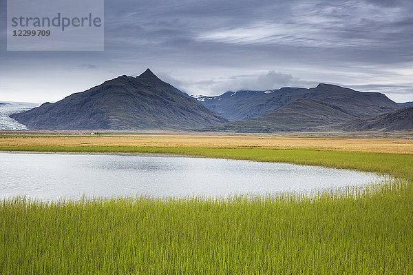 Tranquil  remote mountain landscape with fresh  green grass  Iceland