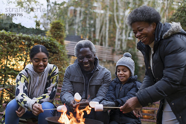 Grandparents and grandchildren roasting marshmallows over campfire