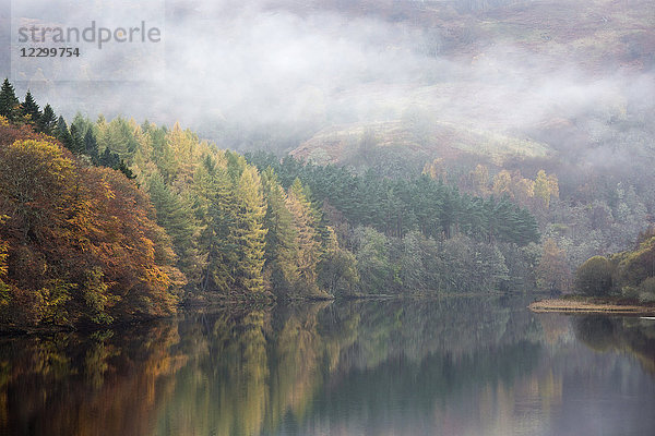 Mysterious fog over tranquil autumn trees and lake  Loch Faskally  Pitlochry  Scotland