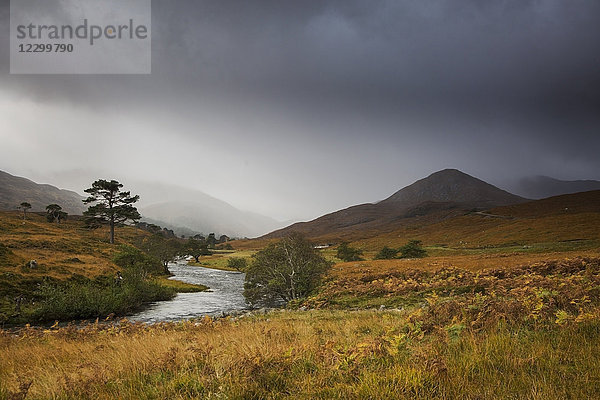 Tranquil landscape with stream  Glen Strathfarrar  Scotland