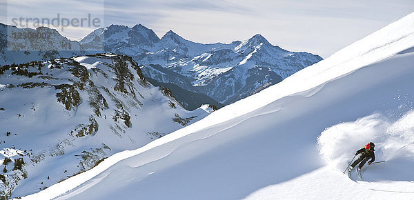 Skifahrer beim Abfahrtslauf in den San Juan Mountains  Ophir  Colorado  USA
