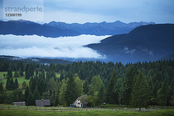 Alm auf der Pokljuka-Hochebene  einem bewaldeten Karstplateau in den Julischen Alpen im Nordwesten Sloweniens in einer Höhe von etwa 1 100 bis 1 400 Metern