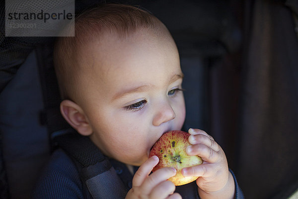 Kopfbild eines kleinen Jungen  der einen Apfel isst und von der Kamera wegschaut