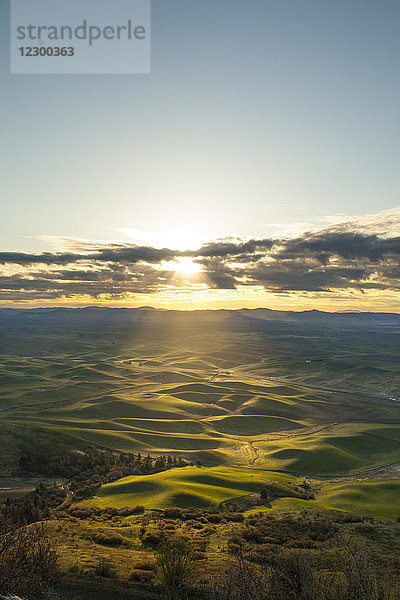 Szenerie mit sanften Hügeln bei Sonnenaufgang  Steptoe Butte State Park  Palouse  Washington State  USA