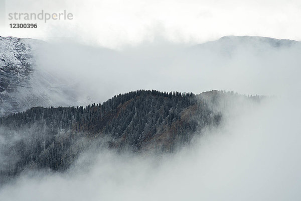 In Nebel gehüllte Berge  Crested Butte  Colorado  USA