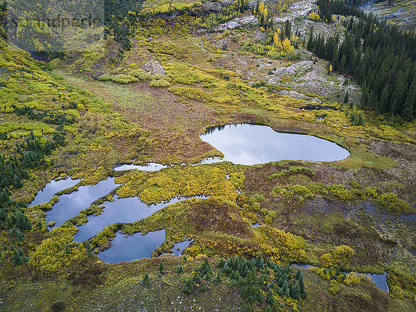 Luftaufnahme einer Wiese mit kleinen Teichen  Crested Butte  Colorado  USA