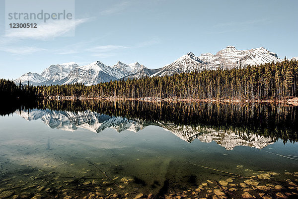 Schöne Naturkulisse des Herbert Lake mit Spiegelung der Bergkette  Banff National Park  Kanada