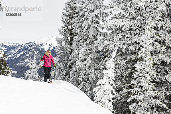 Erwachsene Frau beim Skifahren neben schneebedeckten Bäumen in den La Plata Mountains  Durango  Colorado  USA
