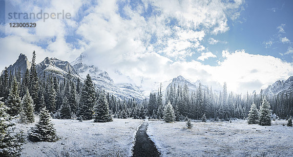 Bergpanorama in British Columbia  Yoho National Park. Das Foto wurde im Herbst von der Elizabeth Parket Hut aus aufgenommen. Berge und Wald waren mit Schnee bedeckt.